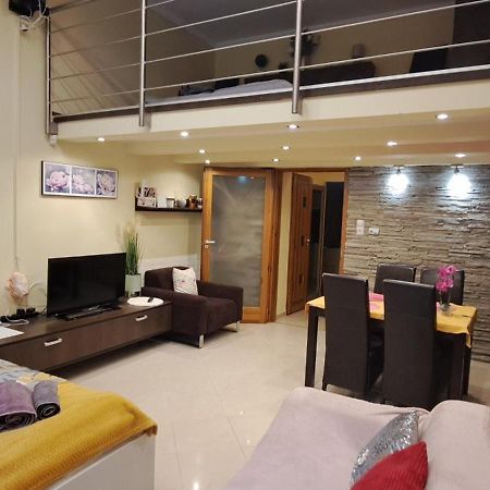 Szandi Belvarosi Apartman セゲド エクステリア 写真
