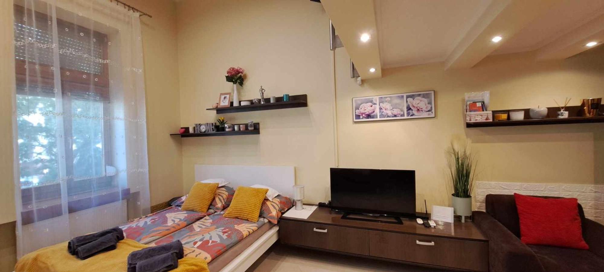 Szandi Belvarosi Apartman セゲド エクステリア 写真