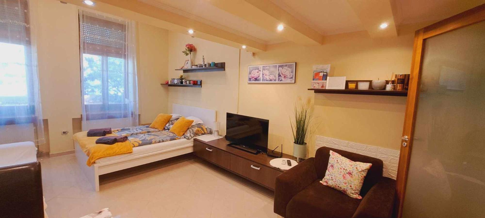 Szandi Belvarosi Apartman セゲド エクステリア 写真