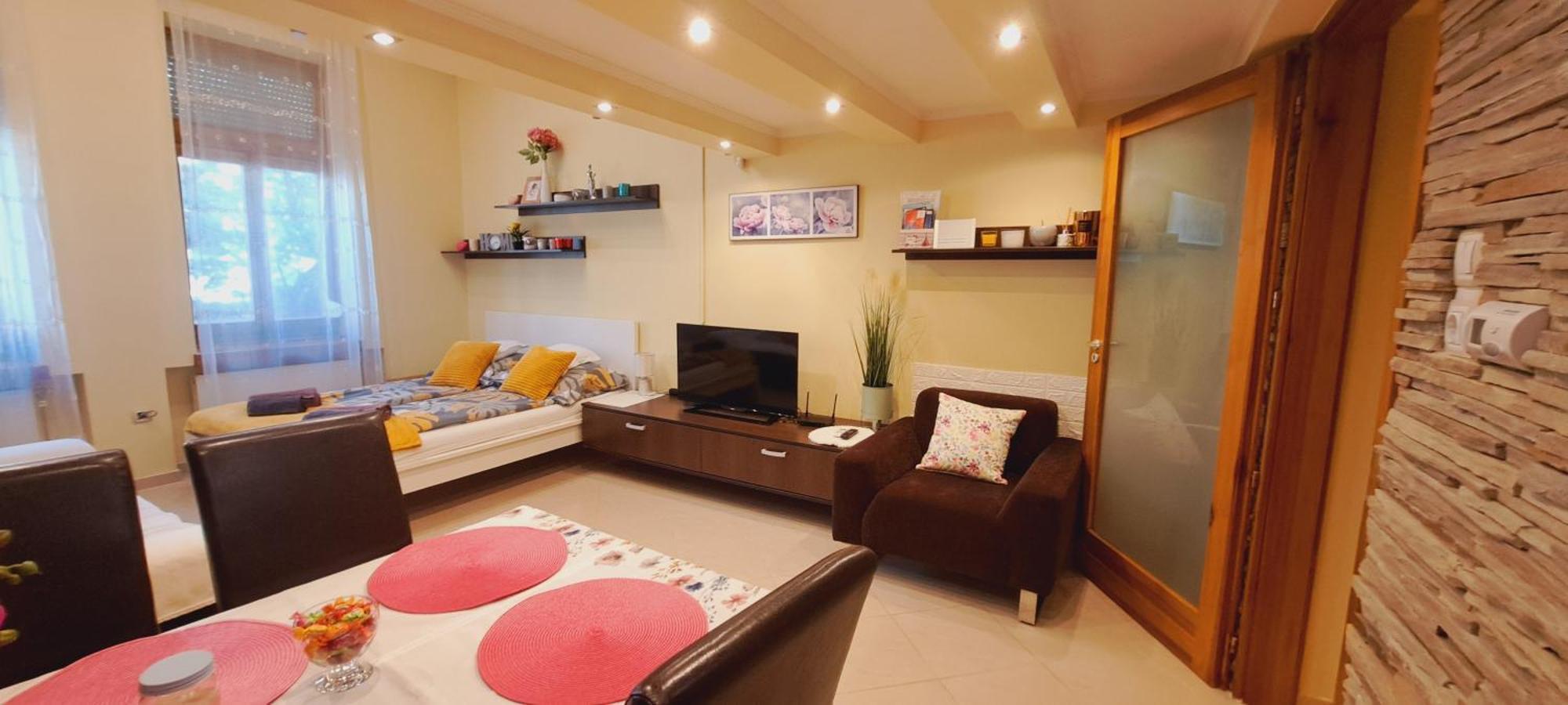 Szandi Belvarosi Apartman セゲド エクステリア 写真